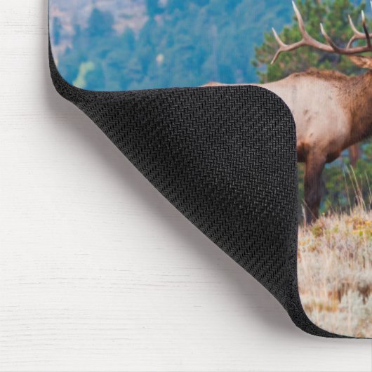 Elk (Cervus elephus) Mousepad (Ecke)