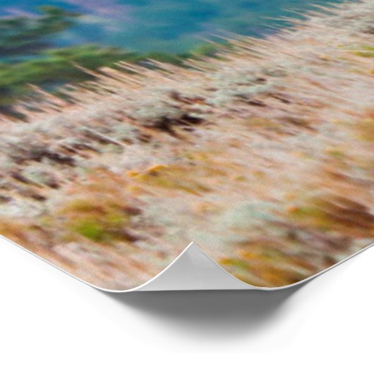 Elk (Cervus elephus) Poster (Ecke)