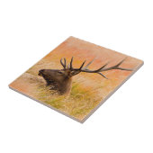 Elk (Cervus elephus) Resting In Meadow Grass Fliese (Seite)