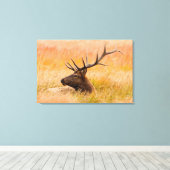 Elk (Cervus elephus) Resting In Meadow Grass Leinwanddruck (Insitu (Holzboden))