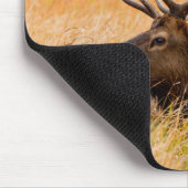 Elk (Cervus elephus) Resting In Meadow Grass Mousepad (Ecke)