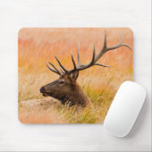 Elk (Cervus elephus) Resting In Meadow Grass Mousepad (Mit Mouse)