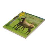Elk Crossing California Wildlife Fotografie Fliese (Seite)