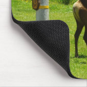 Elk Crossing California Wildlife Fotografie Mousepad (Ecke)