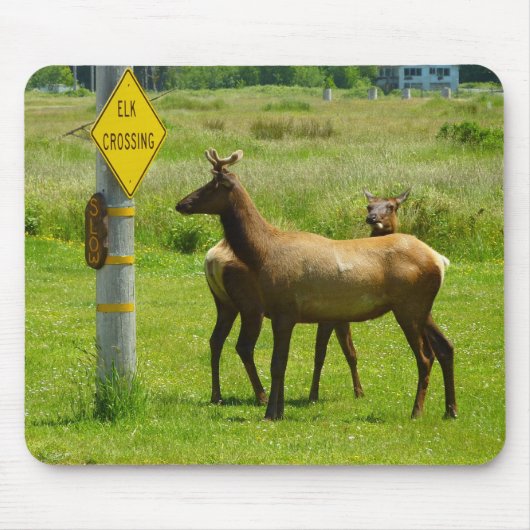 Elk Crossing California Wildlife Fotografie Mousepad (Vorne)