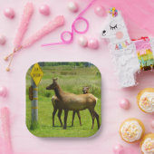 Elk Crossing California Wildlife Fotografie Pappteller (Party)