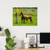 Elk Crossing California Wildlife Fotografie Poster (Heimbüro)