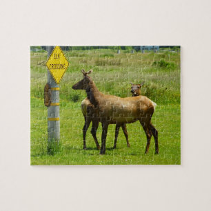 Elk Crossing California Wildlife Fotografie Puzzle
