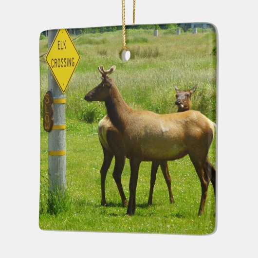 Elk Crossing California Wildlife Keramikornament (Links)