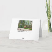 Elk Crossing Street Karte (Rückseite)