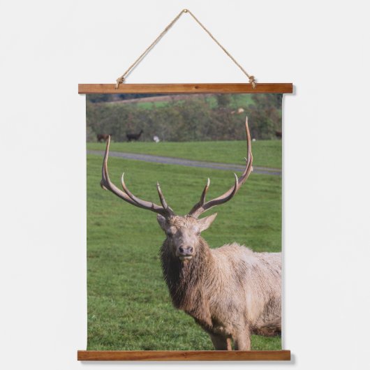 Elk Custom 26"x36" Vertikal (Portrait), ein Panel Wandteppich Mit Holzrahmen (Vorderseite)