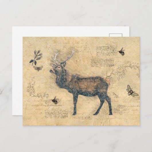 Elk Decoupage Vintag Ephemera Postkarte (Vorne/Hinten)