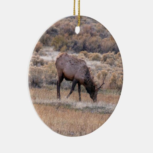 Elk Deer Ornament (Rechts)