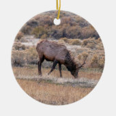 Elk Deer Ornament (Vorne)