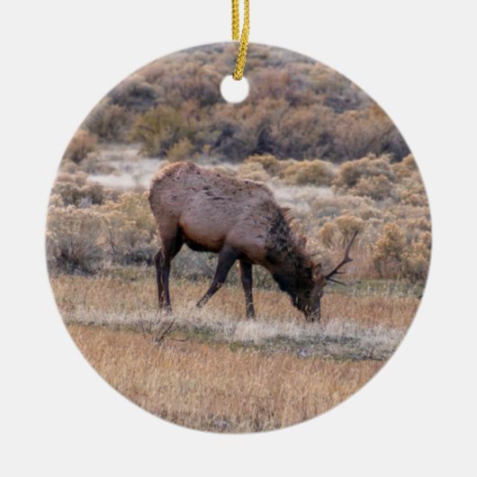 Elk Deer Ornament (Vorne)