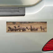 Elk Herd Background Autoaufkleber (Auf Auto)