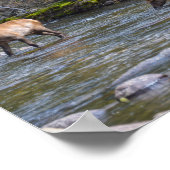 Elk Herd im Big Thompson River Poster (Ecke)