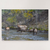 Elk Herd im Big Thompson River Puzzle (Horizontal)