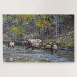 Elk Herd im Big Thompson River Puzzle
