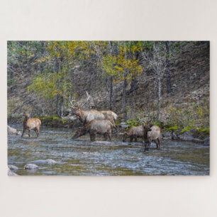 Elk Herd im Big Thompson River Puzzle