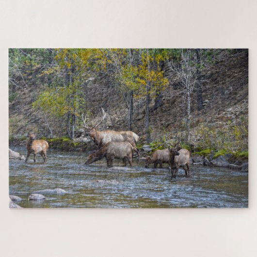 Elk Herd im Big Thompson River Puzzle (Horizontal)