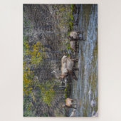 Elk Herd im Big Thompson River Puzzle (Vertikal)