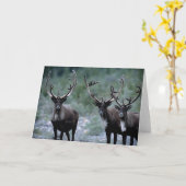Elk Herd | Mt. Baring, Washington Karte (Gelbe Blume)