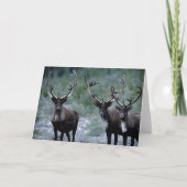 Elk Herd | Mt. Baring, Washington Karte (Vorderseite)