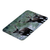 Elk Herd | Mt. Baring, Washington Magnet (Linke Seite)