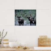 Elk Herd | Mt. Baring, Washington Poster (Küche)