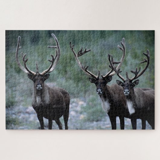 Elk Herd | Mt. Baring, Washington Puzzle (Horizontal)