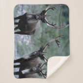 Elk Herd | Mt. Baring, Washington Sherpadecke (Vorderseite)