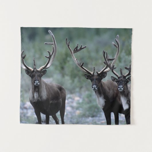 Elk Herd | Mt. Baring, Washington Wandteppich (Vorderseite (Horizontal))