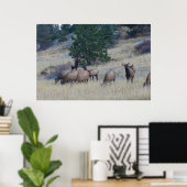 Elk Herd Poster (Heimbüro)