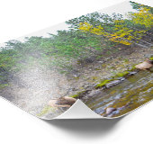 Elk Herd Wading in The Big Thompson River Fotodruck (Ecke)