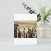 Elk Hintern Postkarte (Stehend Vorderseite)