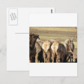 Elk Hintern Postkarte (Vorne/Hinten)