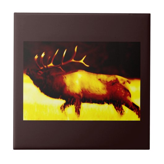 Elk Horn Elk Tile Fliese (Vorderseite)