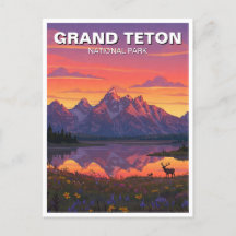 Elk im Grand Teton Nationalpark