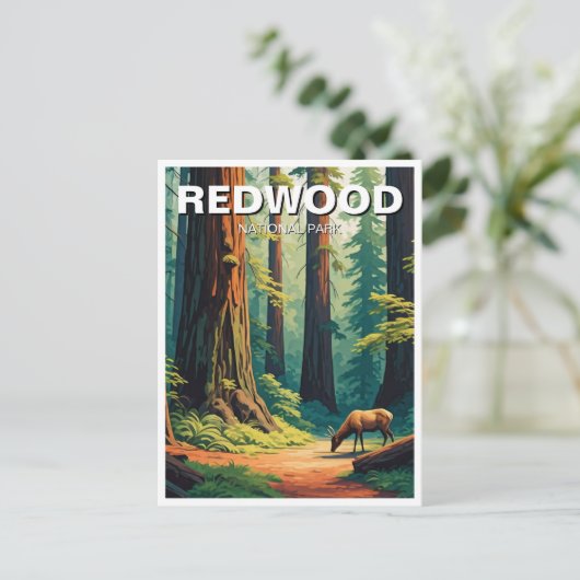 Elk im Redwood National Park Souvenir Postkarte (Stehend Vorderseite)