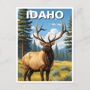 Elk in Idaho Postkarte
