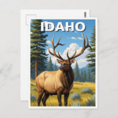 Elk in Idaho Postkarte (Vorne/Hinten)