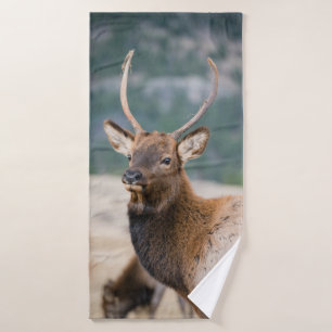 ELK IN ROCKY MOUNTAIN NATIONAL PARK - ELK HERK GR BADEHANDTUCH