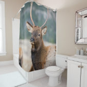 ELK IN ROCKY MOUNTAIN NATIONAL PARK - ELK HERK GR DUSCHVORHANG (Beispiel)