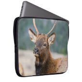 ELK IN ROCKY MOUNTAIN NATIONAL PARK - ELK HERK GR LAPTOPSCHUTZHÜLLE (Vorne Rechts)