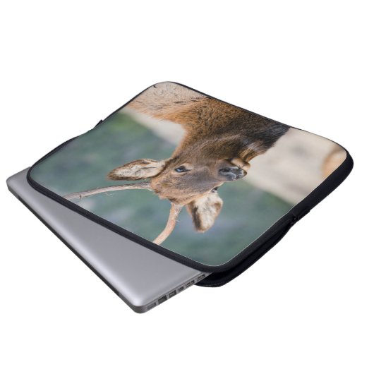 ELK IN ROCKY MOUNTAIN NATIONAL PARK - ELK HERK GR LAPTOPSCHUTZHÜLLE (Vorne Knopf)