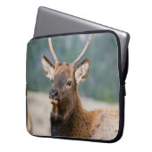 ELK IN ROCKY MOUNTAIN NATIONAL PARK - ELK HERK GR LAPTOPSCHUTZHÜLLE (Vorderseite Links)