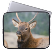 ELK IN ROCKY MOUNTAIN NATIONAL PARK - ELK HERK GR LAPTOPSCHUTZHÜLLE (Vorderseite)