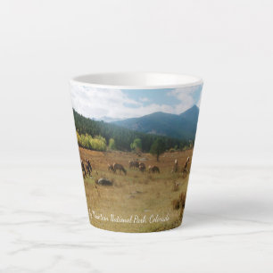 Elk in Rocky Mountains Nationalpark letzte Tasse