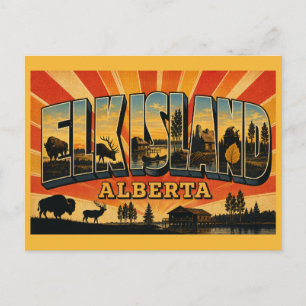 Elk Island Nationalpark Alberta Bison Sanctuary Postkarte